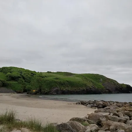 The Pike At Lisavaird * Clonakilty